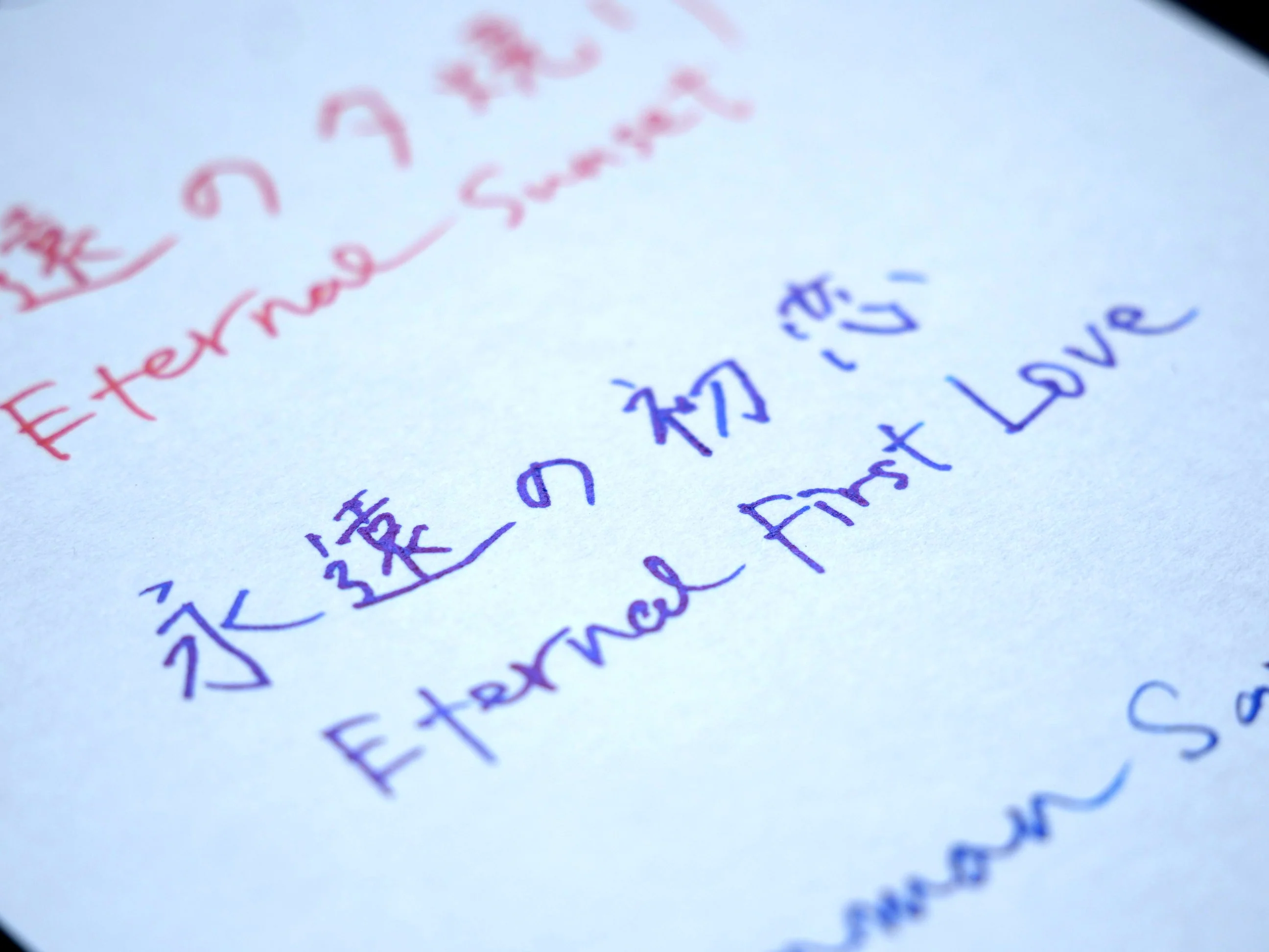 Eternal First Love Pigment Ink - Image 9