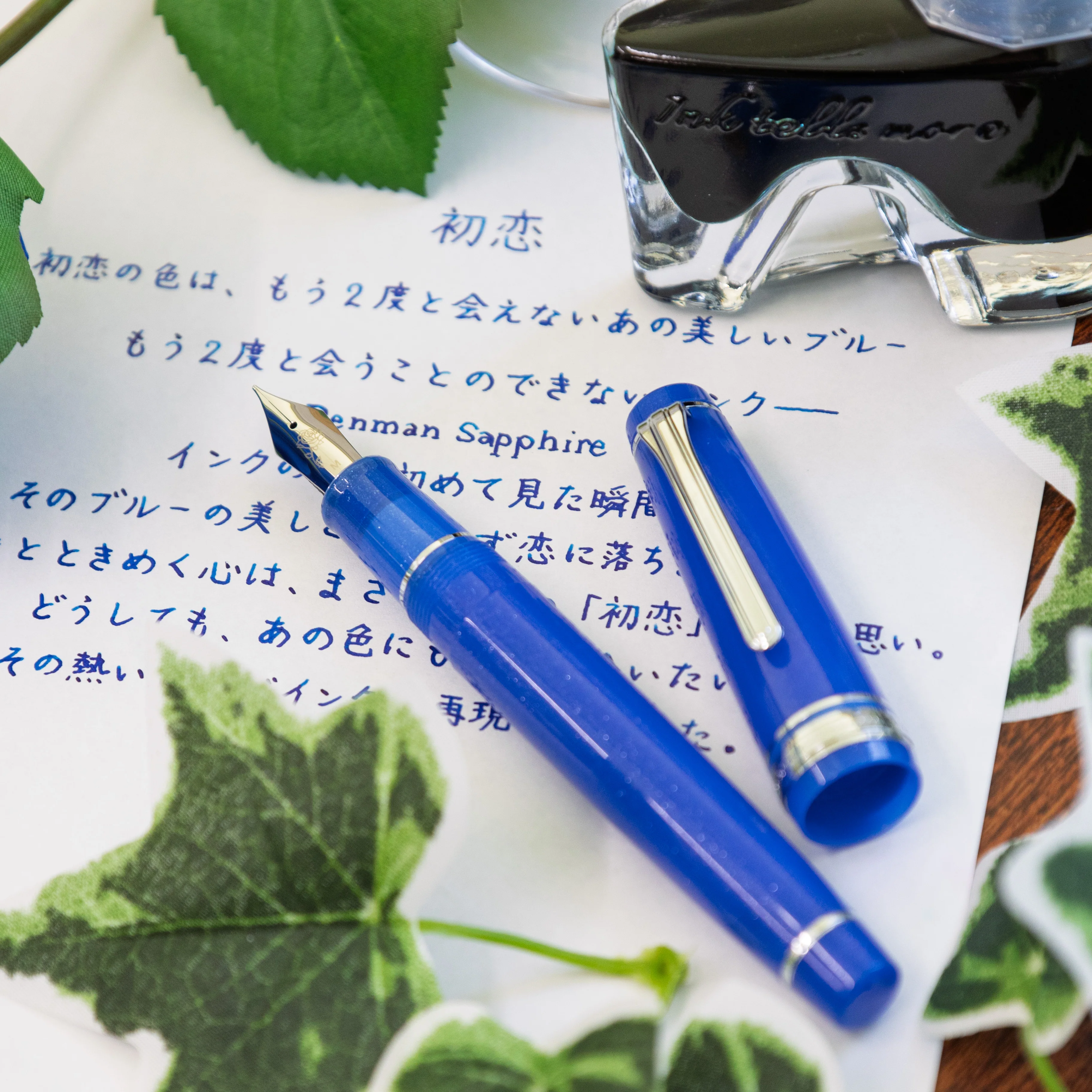 First Love, ProGear with a hand-finished steel nib - Image 14