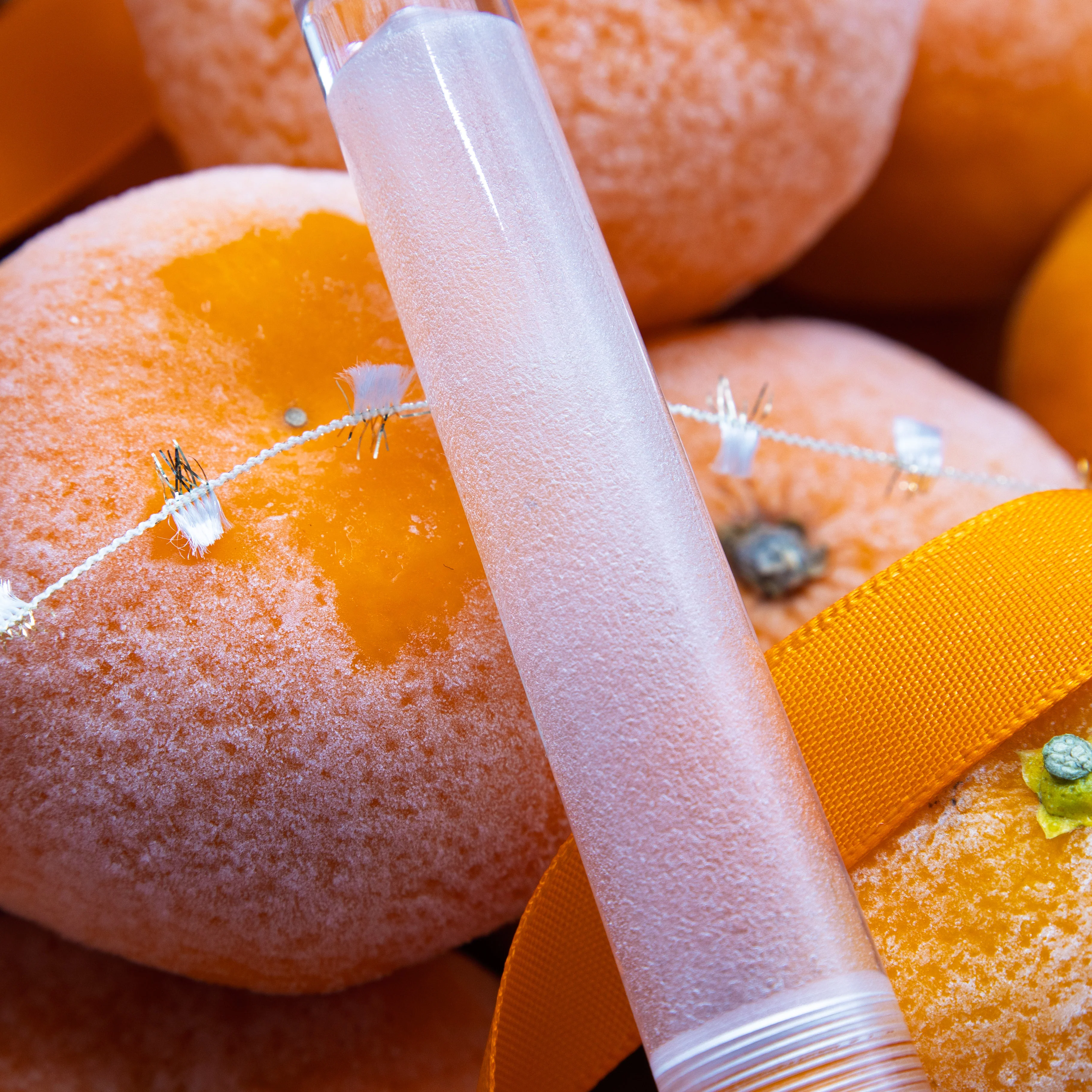 Frozen Orange, BUNGUBOX x Franklin-Christoph - Image 18